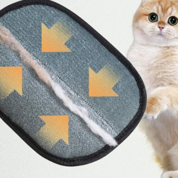 PetFur Remover Pro™: Guanto cattura-peli per divani, vestiti e auto